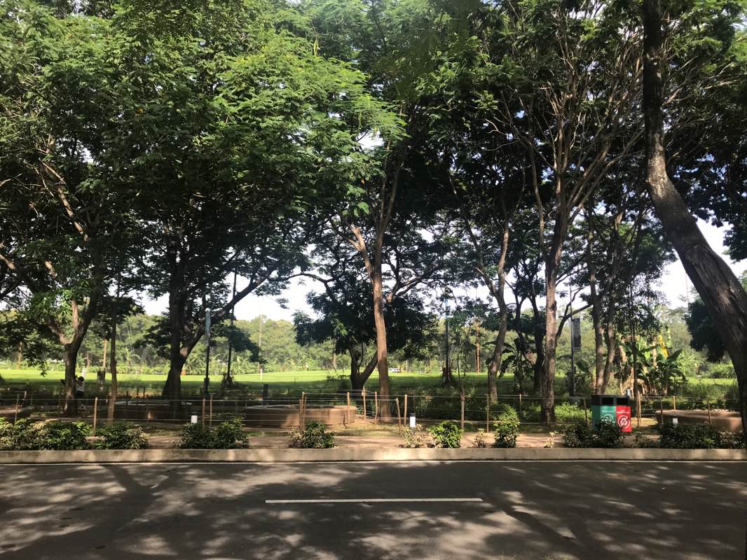 walking near me in River Park in winter