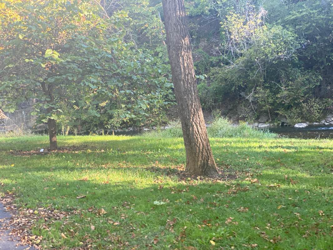 walking near me in Ruffner Plaza in winter