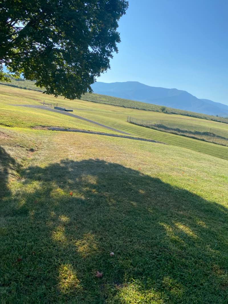 walking near me in Ralph H. Dean Recreation Park in autumn