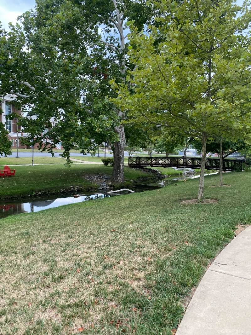 walking near me in Jim Barnett Park in summer