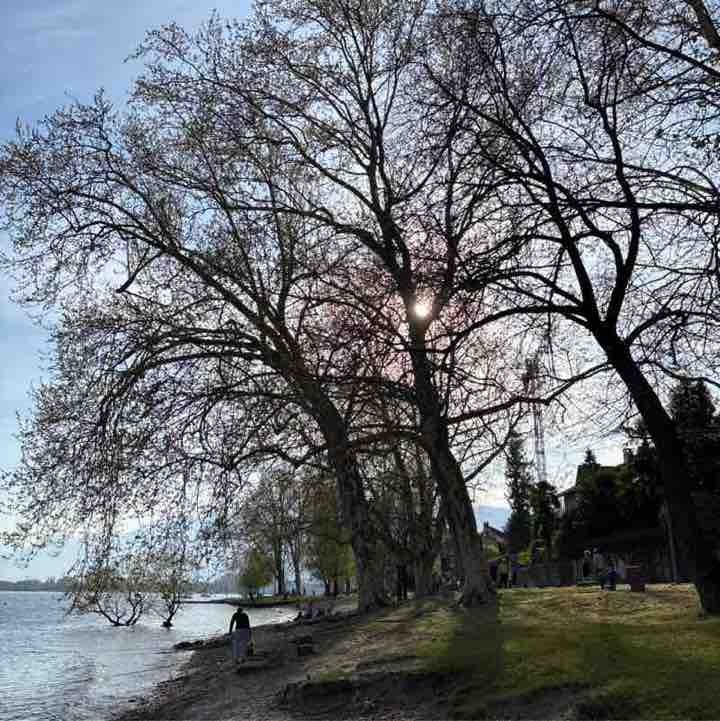 micio🇨🇭 post 2