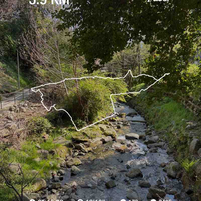 micio🇨🇭 post 1