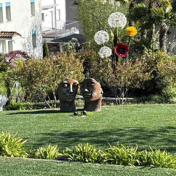 micio🇨🇭 post 3