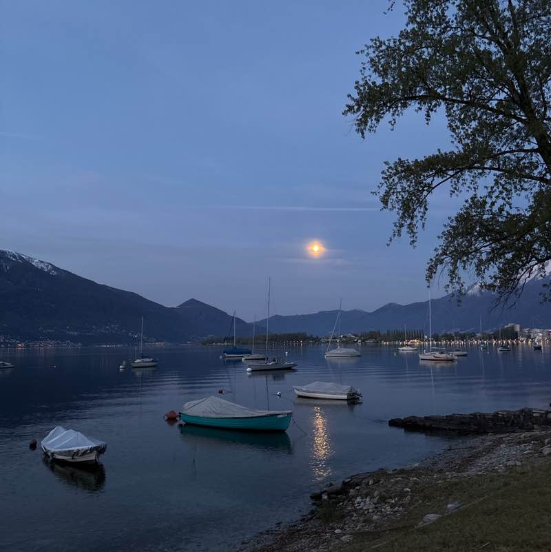 micio🇨🇭 post 3