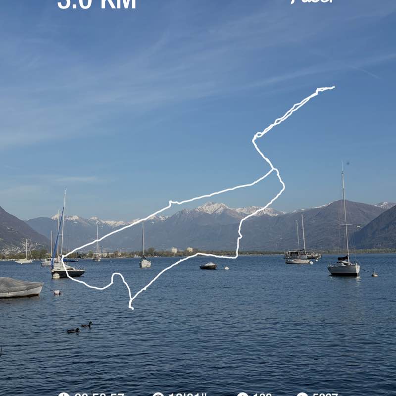 micio🇨🇭 post 1