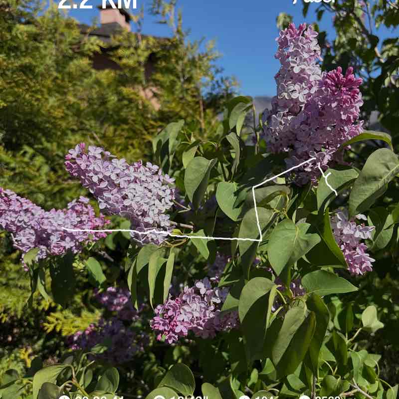 micio🇨🇭 post 1