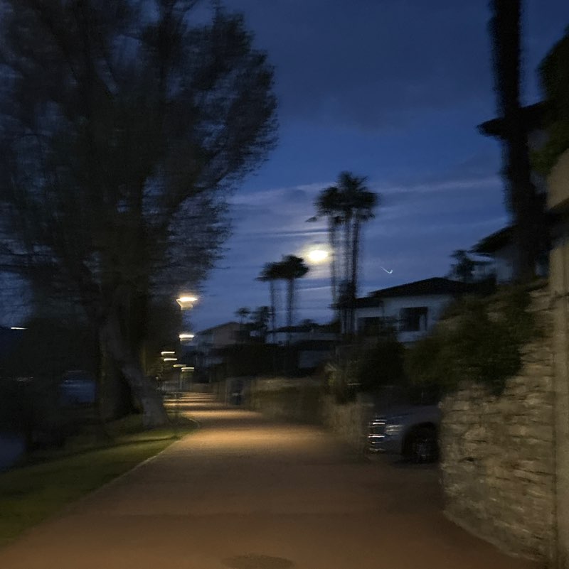 micio🇨🇭 post 2