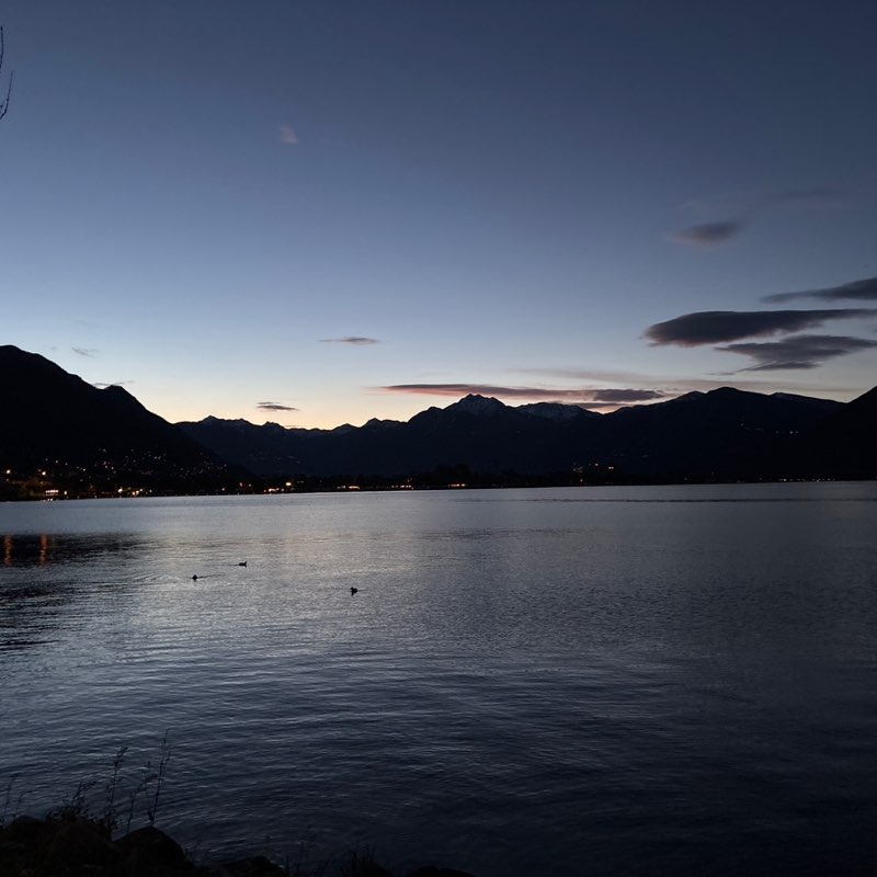 micio🇨🇭 post 3