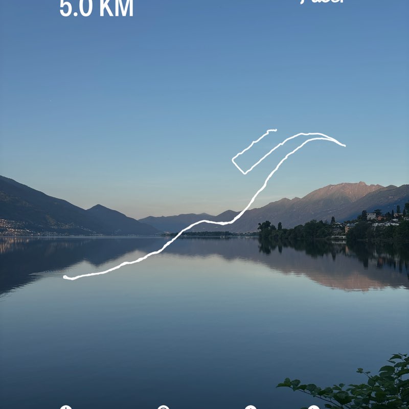 micio🇨🇭 post 1
