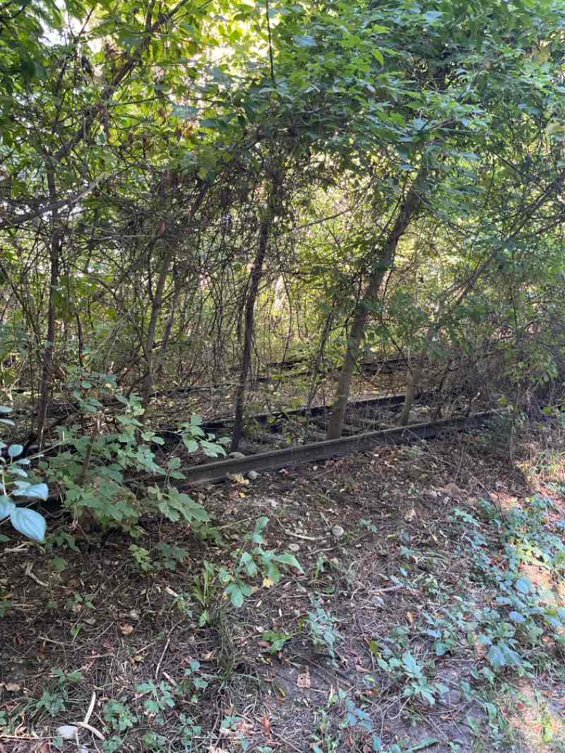 walking near me in Central Park in autumn