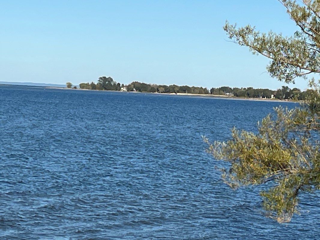 walking near me in Optimist Harbourview Park in autumn