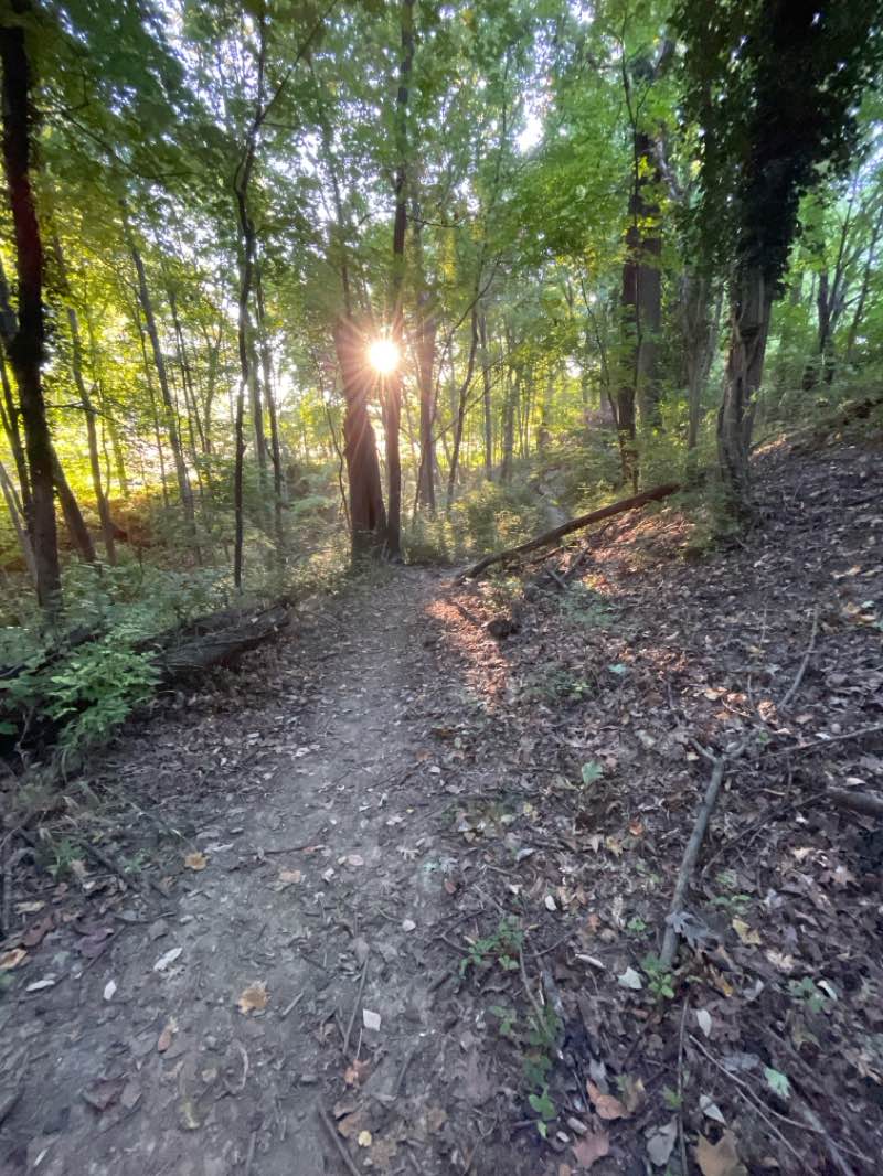 walking near me in Township Park in autumn