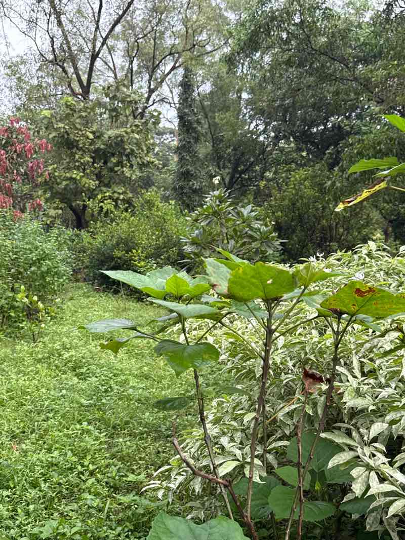 walking near me in Butterfly Park in autumn
