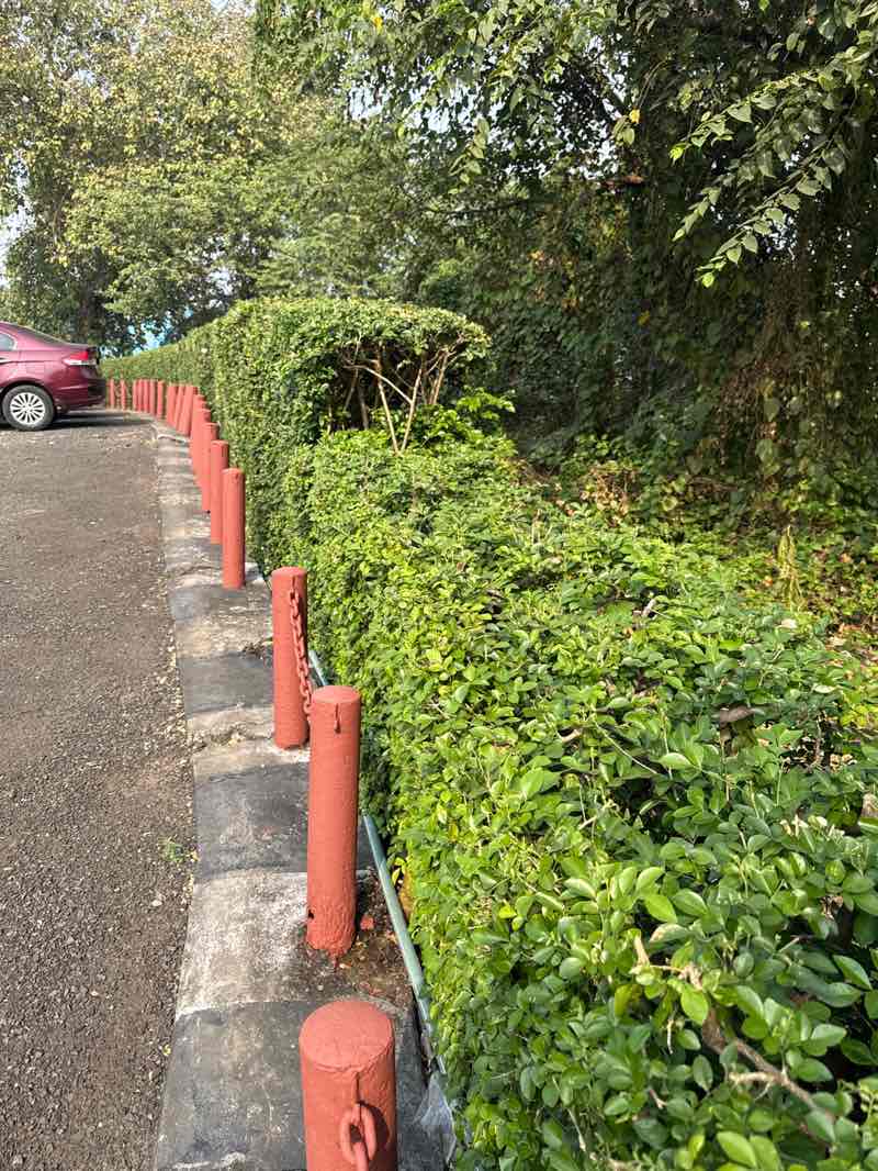 walking near me in Swabhumi in autumn