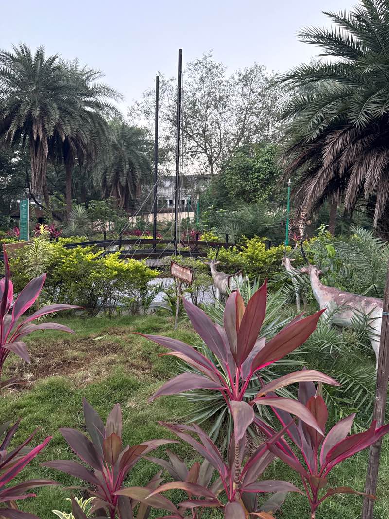 walking near me in Nandibaba Park in autumn