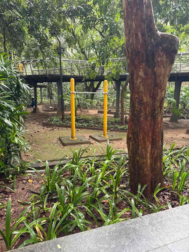 walking near me in TMC Community Park in autumn