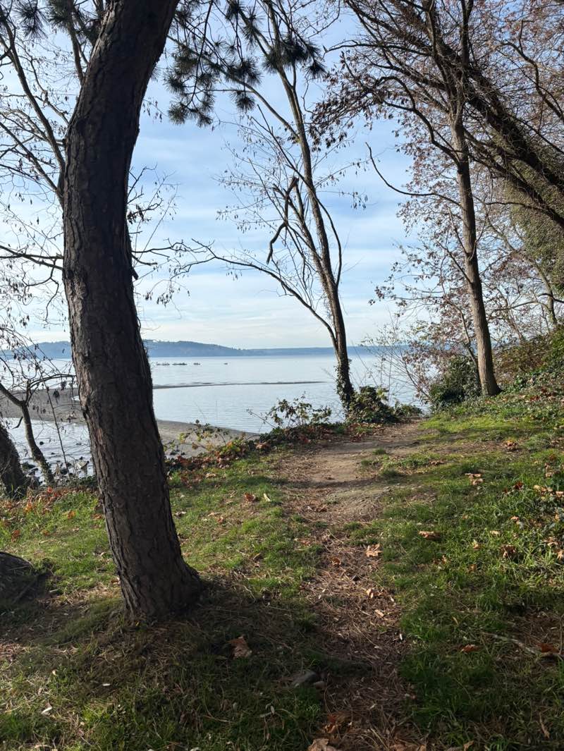 walking near me in Des Moines Beach Park in autumn