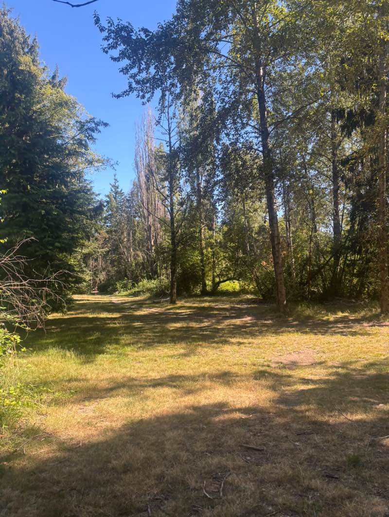 walking near me in North Seatac Park in summer