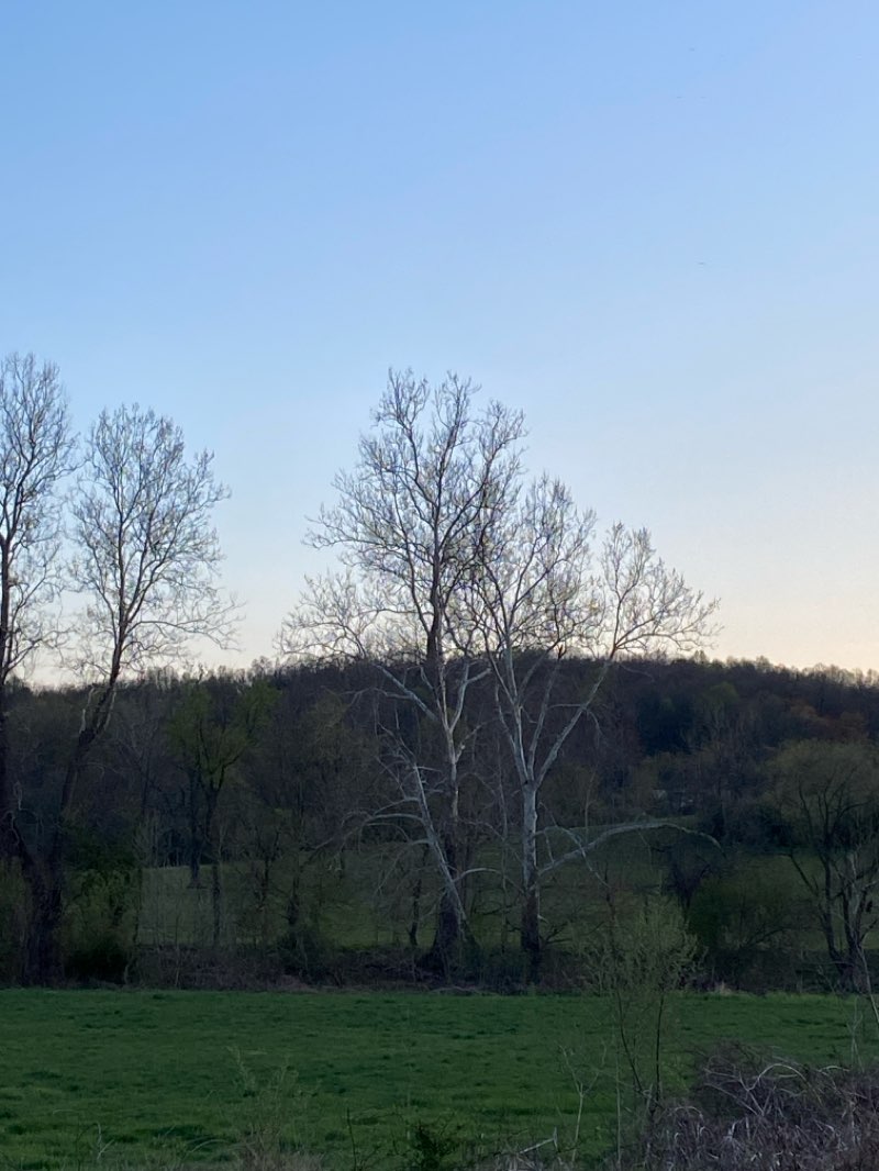 walking near me in Stump Memorial Park in spring