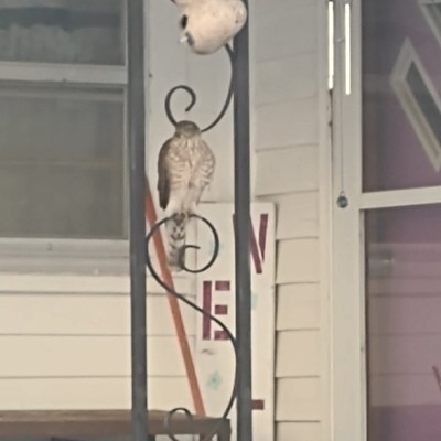christie post 2