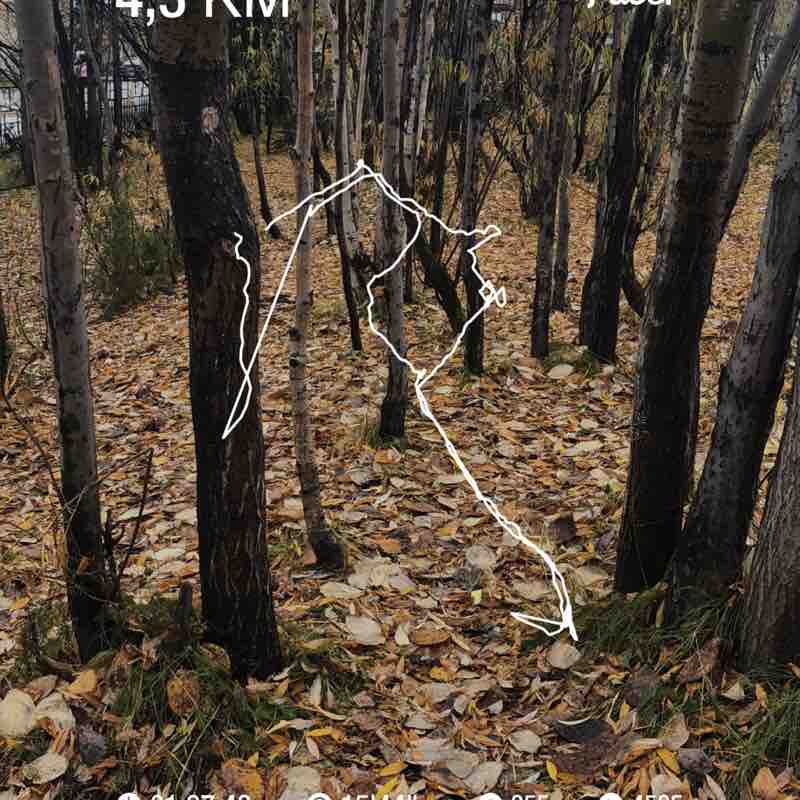 Александра post 1