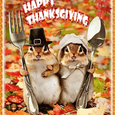 🐞 Ladybug66 🐞 post 1