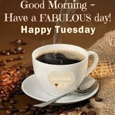 🐞 Ladybug66 🐞 post 1