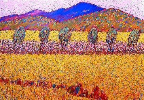 lailai영수 profile