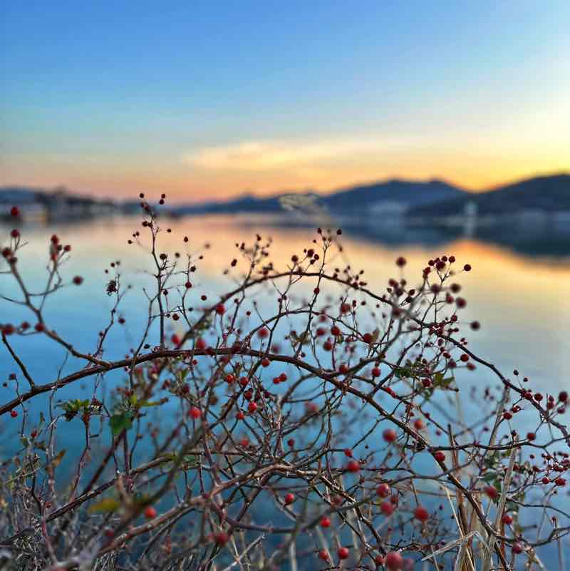 KamiMaru🇰🇷 post 2