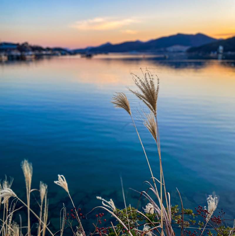 KamiMaru🇰🇷 post 1