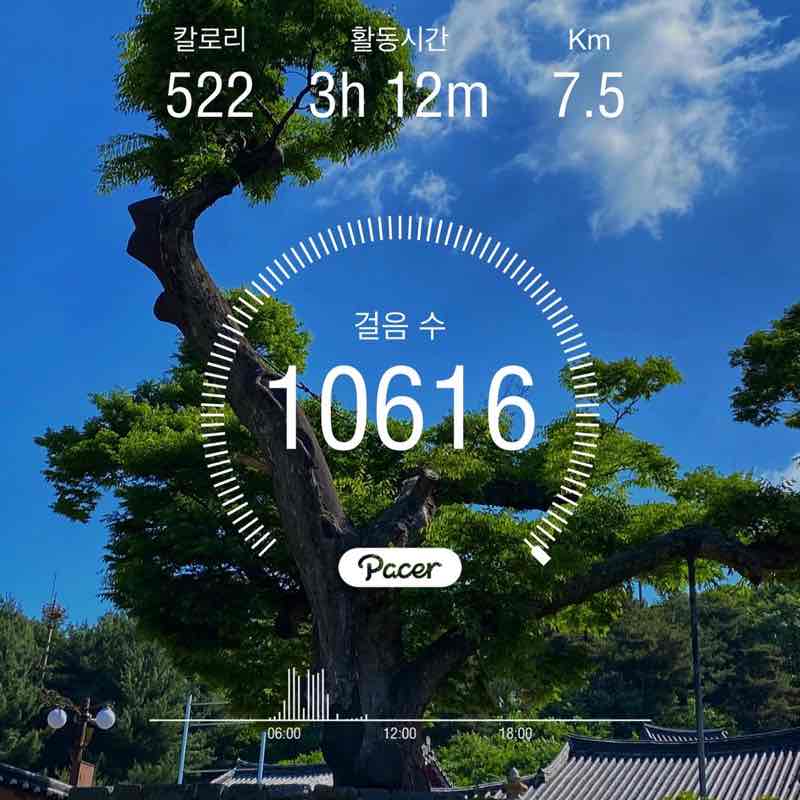 KamiMaru🇰🇷 post 1