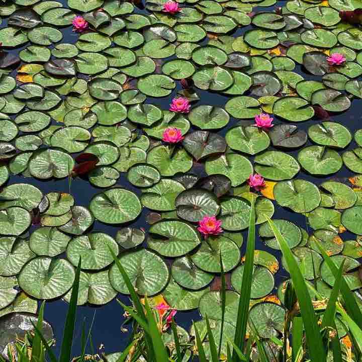 KamiMaru🇰🇷 post 3