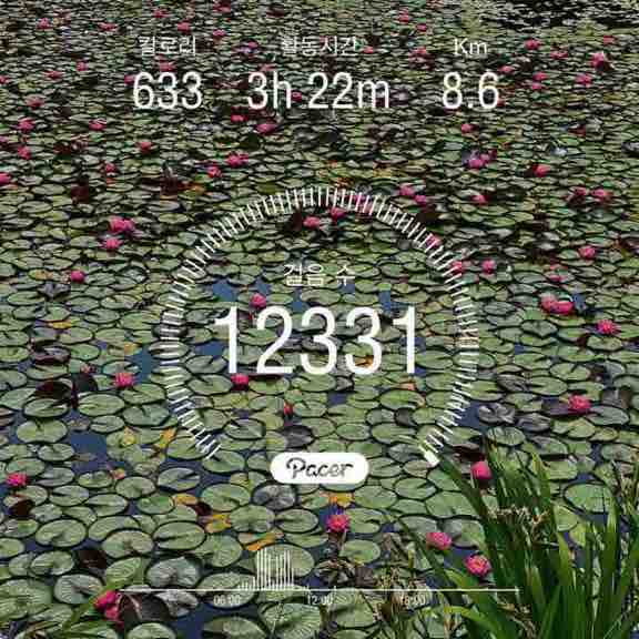 KamiMaru🇰🇷 post 1