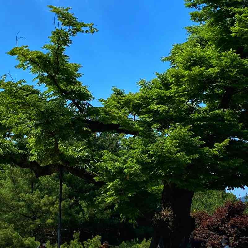 KamiMaru🇰🇷 post 3