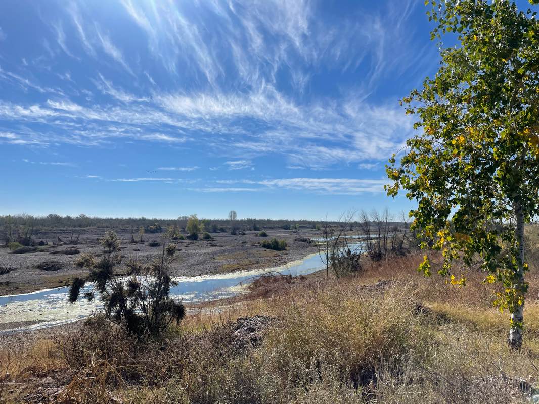 walking near me in Parque Club De Leones in winter