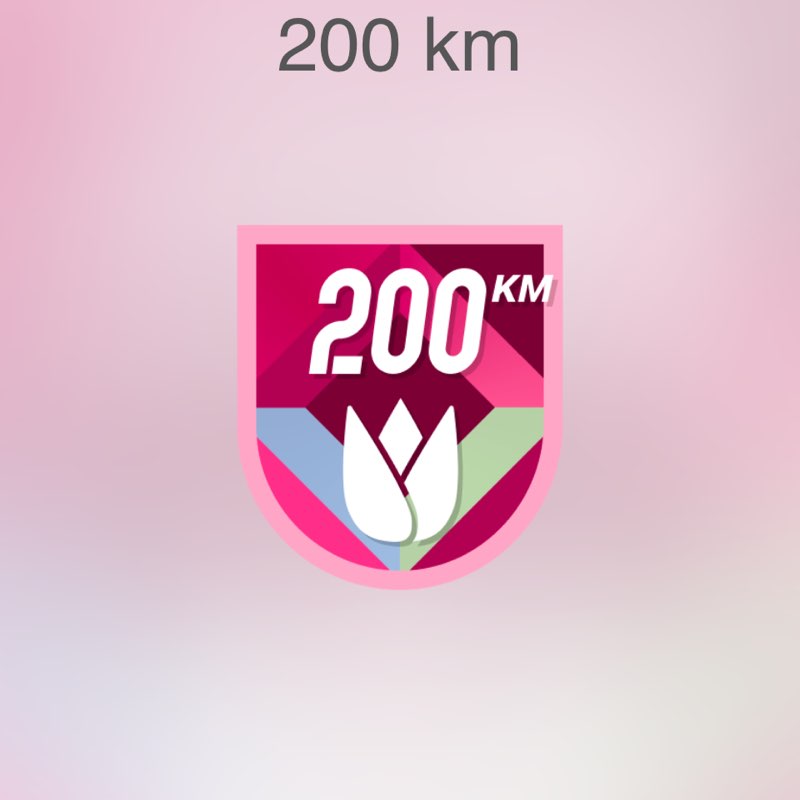 Luis post 2