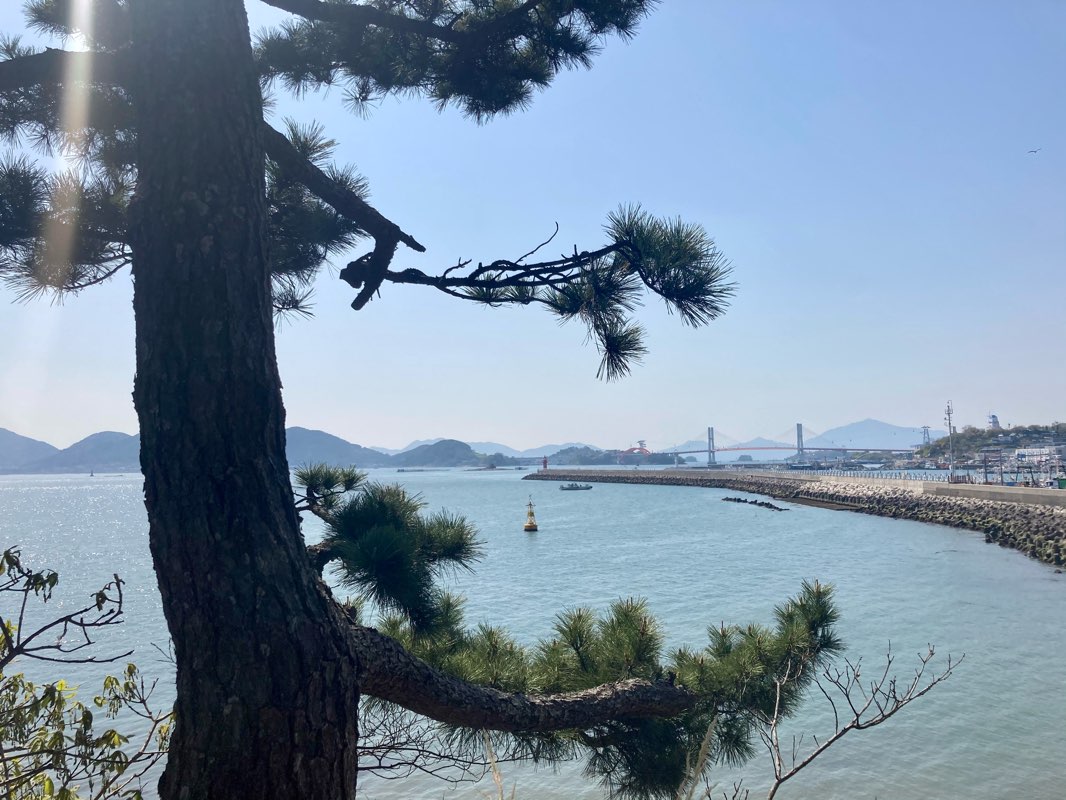 walking near me in 노산공원 in winter