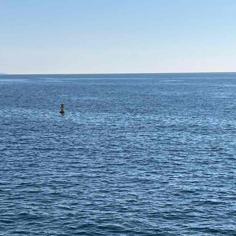 Ivan🌴🔥🔥🔥 post 2