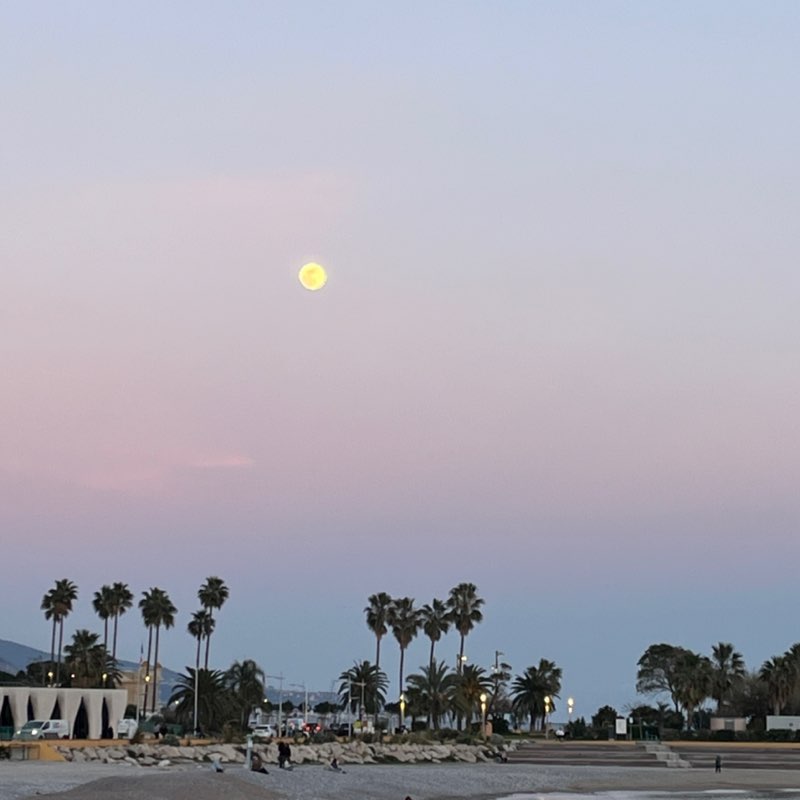 Matriochka Ivan🌴🔥🔥🔥 post image