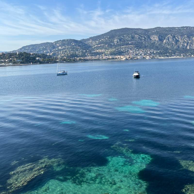 Hungary Ivan🌴🔥🔥🔥 post image