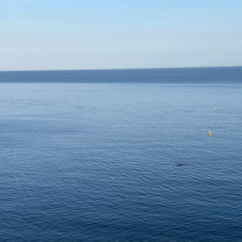 Matriochka Ivan🌴🔥🔥🔥 post image