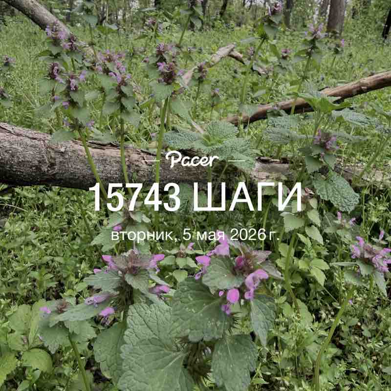 Лерчи  ♌️🐯 post 1