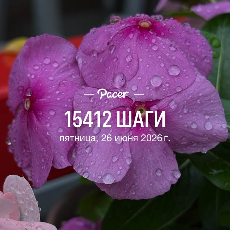 Лерчи  ♌️🐯 post 1