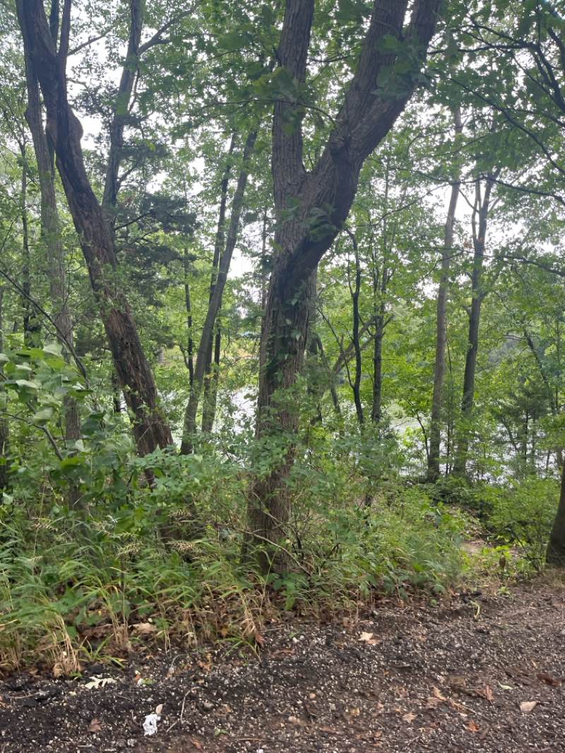 walking near me in Lake Storey Park in summer