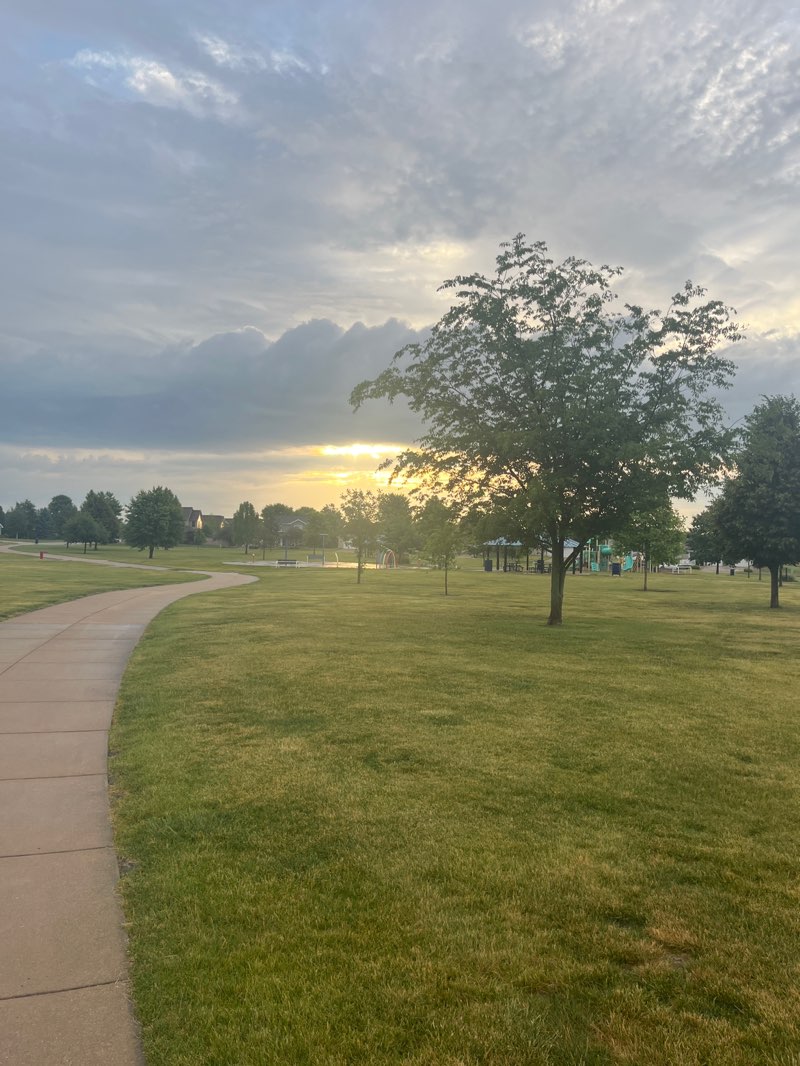walking near me in Harry LaHood Park in summer