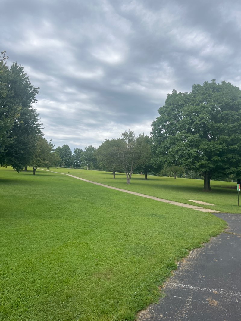 walking near me in Westgate Park in summer