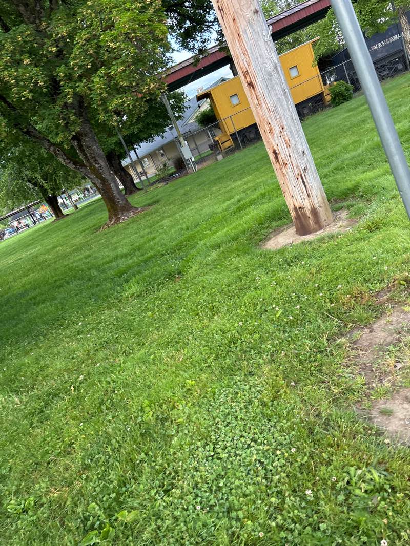 walking near me in Central Park in spring