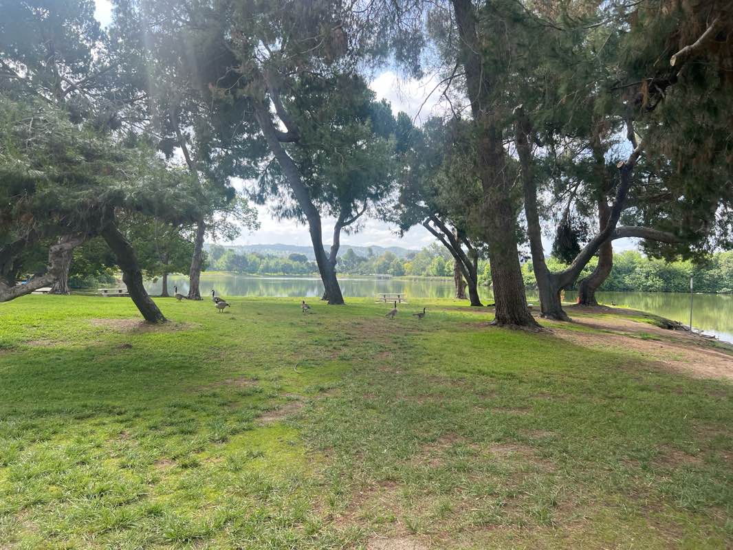 walking near me in Legg Lake Whittier Narrows Recreation Area in spring