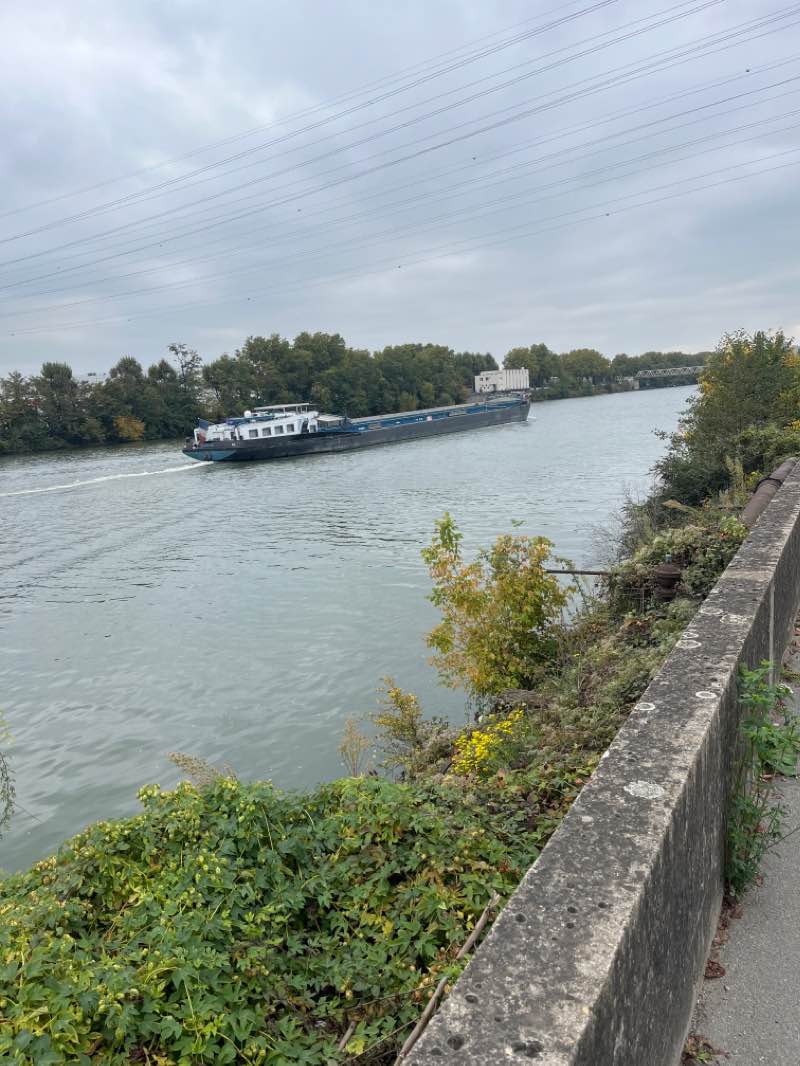 walking near me in Île au cointre in autumn