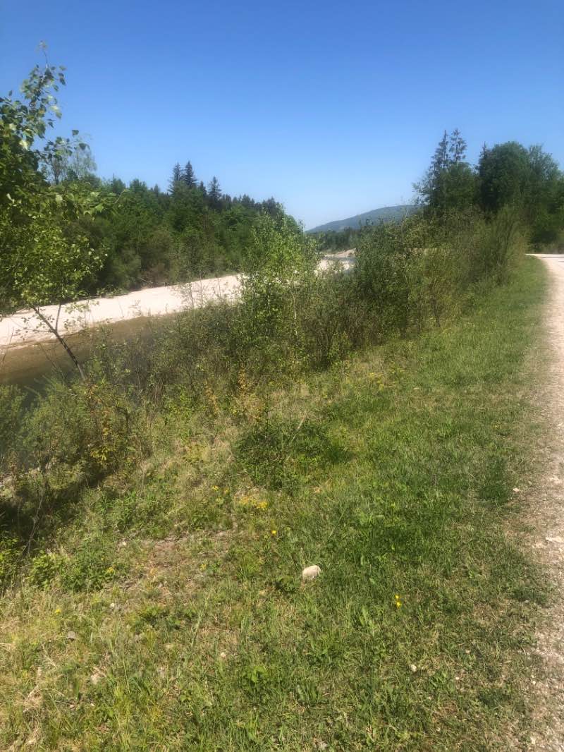 walking near me in Sport- und Freizeitanlage Badylon in spring
